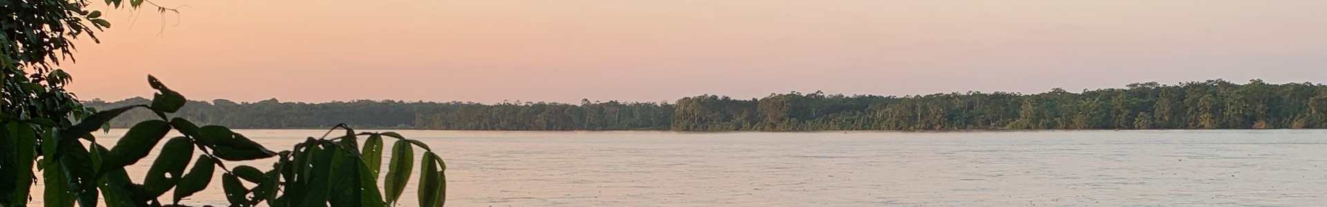 Equacacao - cacao d'Équateur - chocolat arriba couverture bio - Amazonas